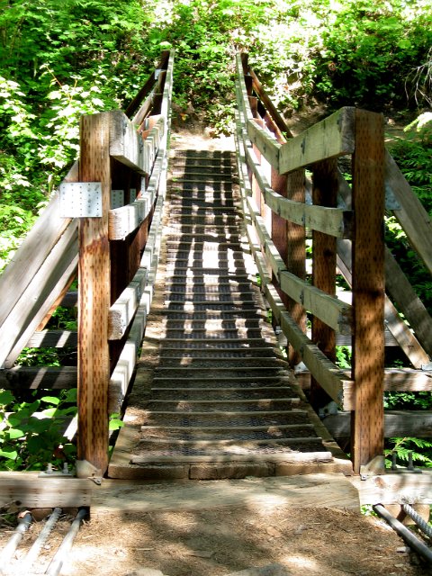Paradise Creek-130.JPG - Suspension Bridge